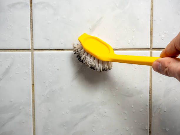 Best Mold Removal Specialists  in Newtown, PA
