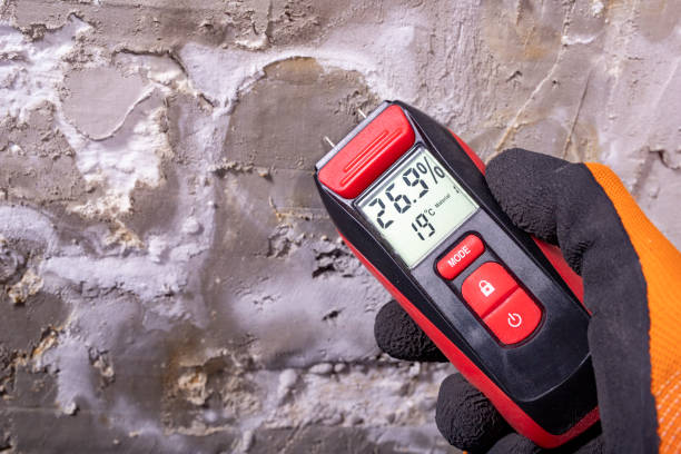 Best Mold Damage Repair  in Newtown, PA